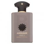 Amouage Opus V Woods Symphony EDP U 100 ml