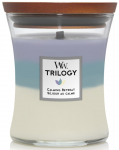 Aroomik&uuml;&uuml;nal klaasis kolmekihilise aroomiga Woodwick Medium Trilogy Calming Retreat 275 g