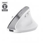 Trust Bayo+ mouse Office Right-hand RF Wireless + Bluetooth Optical 2400 DPI
