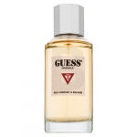 Guess Originals Type 2 Red Currant & Balsam EDP U 100 ml