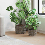 Istutuskorv ladustamisega 2 pcs hall kubu rattan