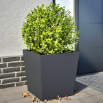 Aia taimekastid 2 tk, antratsiithall, 50 x 50 x 50 cm, teras