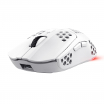 MOUSE USB OPTICAL WRL GXT929W/HELOX LIGHTW WHITE 25390 TRUST - 8713439253900