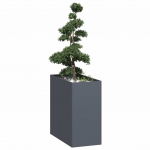 Taimekast antratsiithall 40x80x80 cm, teras