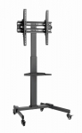 Gembird TVS-55T-01 TV floor stand with caster wheels (tilt), 32" - 55", black