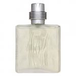 Meeste parf&uuml;&uuml;m CERRUTI 1881 MEN EDT SPRAY 100 ml
