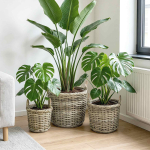 Istutuskorv ladustamisega gendt 3 tk looduslik hall kubu rattan