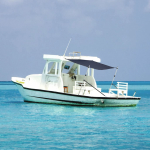 T-t&uuml;&uuml;pi varikatuse pikendus, tumesinine, 170x208x(115-183) cm