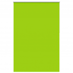 Pimendav ruloo lehed rohelised 165x210 cm kanga laius 161,6 cm