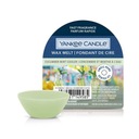Jahutav &otilde;huv&auml;rskendaja Yankee Candle Cucumber Mint Cooler 22 g