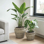 Istutuskorv ladustamisega gendt 2 tk looduslik hall kubu rattan