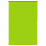 Pimendav ruloo lehed rohelised 155x230 cm kanga laius 151,6 cm