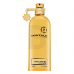 Montale Aoud Leather EDP U 100 ml
