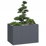 Taimekast antratsiithall 120x80x80 cm, teras