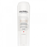 Mask heledatele ja hallidele juustele Goldwell DSN Silver 60 sek 500 ml