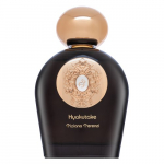 Tiziana Terenzi Hyakutake PAR U 100 ml