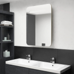 Led-idega vannitoa peegelkapp, tamm, 60 x 11 x 80 cm