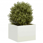 Taimekast valge 40x40x30 cm, teras
