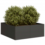 Taimekast must 80x80x30 cm, teras