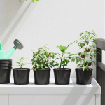 Lillepott 50 pcs must &oslash; 15 x 12.5 cm plastmass