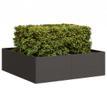 Taimekast must 100x100x30 cm, teras