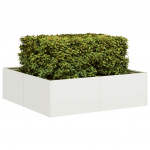Taimekast valge 100x100x30 cm, teras