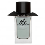 Burberry Mr. Burberry EDT M 100 ml