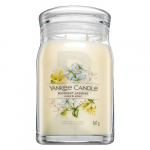 Yankee Candle Midnight Jasmine 567 g