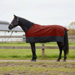 Hobuste k&auml;tter tume roheline ja must 115 cm pol&uuml;ester