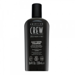 American Crew Daily Silver Shampoo 250 ml