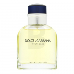 Dolce & Gabbana Pour Homme EDT M 75 ml