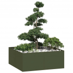 Aia taimekast, oliiviroheline, 100x100x40 cm, teras