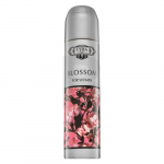 Cuba Blossom EDP W 100 ml