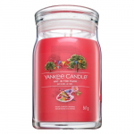 Yankee Candle Art Pargis 567g