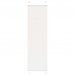 Plisseeritud ruloo valge 55x200 cm kanga laius 54,4 cm