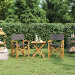 Kokkupandavad režiss&ouml;&ouml;ritoolid 2 tk, hall, tiikpuu