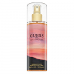 Guess 1981 Los Angeles BOR W 250 ml