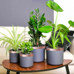 Kaksiklehteline vasklint 6 pcs vask 2000 x 3 cm vask