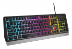 GENESIS Rhod 300 RGB keyboard Gaming USB QWERTY English Black