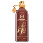 Montale Arabians Musk EDP U 100 ml