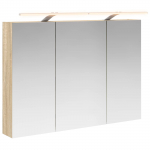 Vannitoa peeglikapp sonoma tamm 100 x 14,5 x 70 cm tehispuit