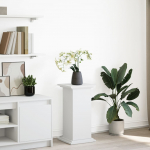 Hoiuruumiga monitorialus, valge, 31x30x60 cm, tehispuit