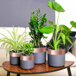 Kaksiklehteline vasklint 6 pcs vask 2000 x 7 cm vask