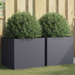 Taimekastid 2 tk antratsiit 49x47x46 cm, teras