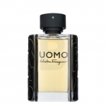 Tualettvesi meestele Salvatore Ferragamo Uomo 100 ml