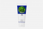 HOLIKA HOLIKA Daily Fresh Green Tea Cleansing