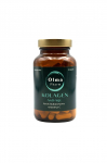 OLMA PHARM Vananemisvastane kollageen h&uuml;aluroonhappe ja C-vitamiiniga (90 kapslit).