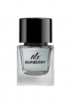 Burberry Mr. Burberry EdT 50ml