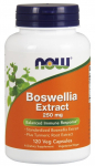NOW Foods Boswellia ekstrakt koos kurkumijuure ekstraktiga, 250 mg - 120 kapslit
