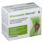 INTERCELL PHARMA Gl&uuml;koosamiin Intercell (120 kapslit)